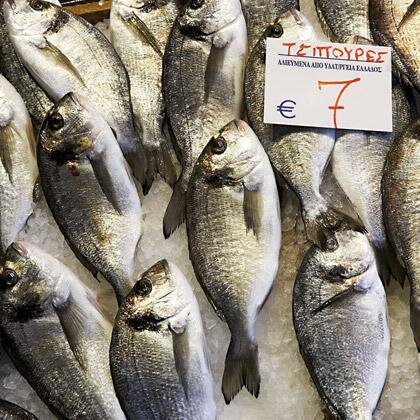 The Cuisine of Macedonia - Greece