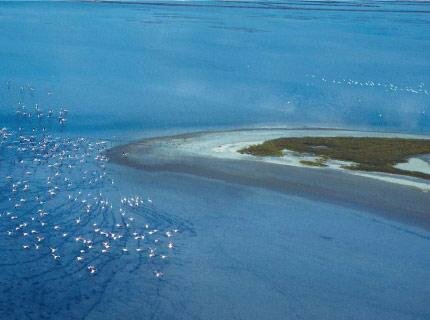Sensitive habitats - Central Macedonia - Greece
