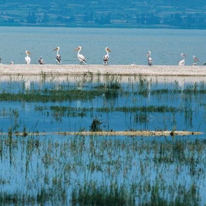 Central Macedonia - Fishing and Wind-surfing