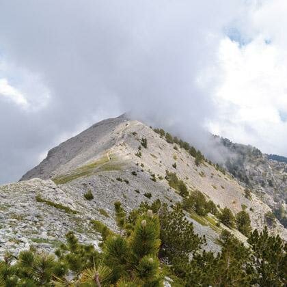 From the Seashore to the Mountain of the Gods 