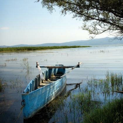Central Macedonia - Sensitive habitats 