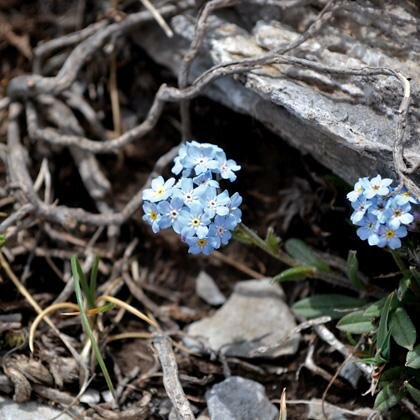 Central Macedonia - Mountain tracks