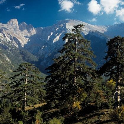 Central Macedonia - At the Foot of Mt. Olympus