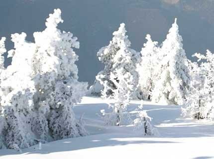 SKIING IN ELATOCHORI - PIERIA - GREECE