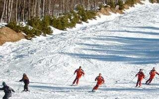 SKIING IN ELATOCHORI - PIERIA - GREECE