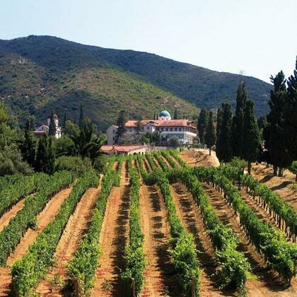 Central Macedonia - Macedonian Wineries