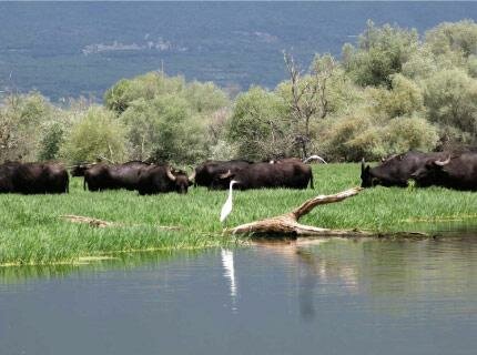LAKE KERKINI – HEAVEN ON EARTH